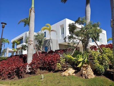 Transform Painting LLC
